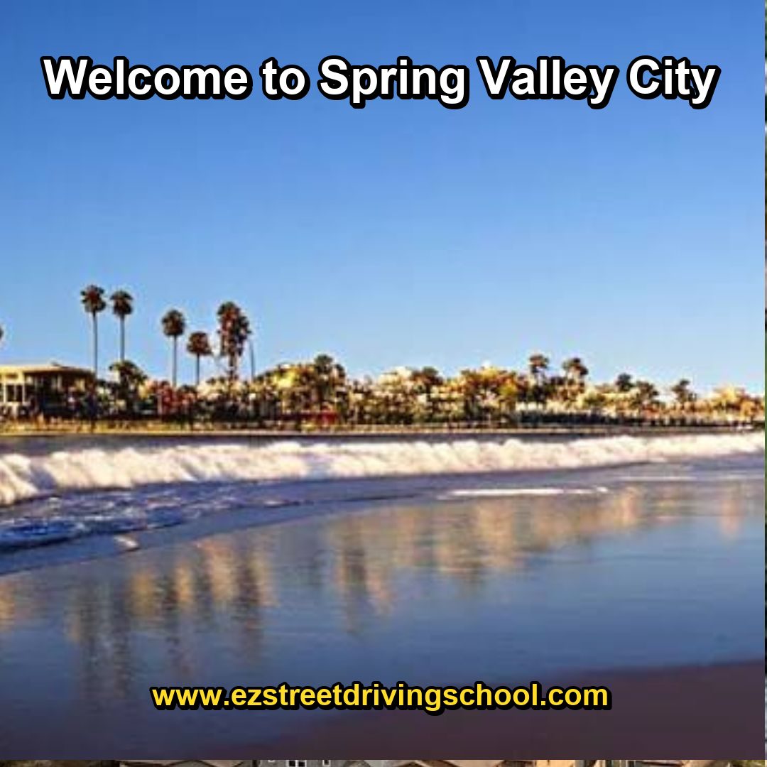 Driving Lessons in Spring Valley